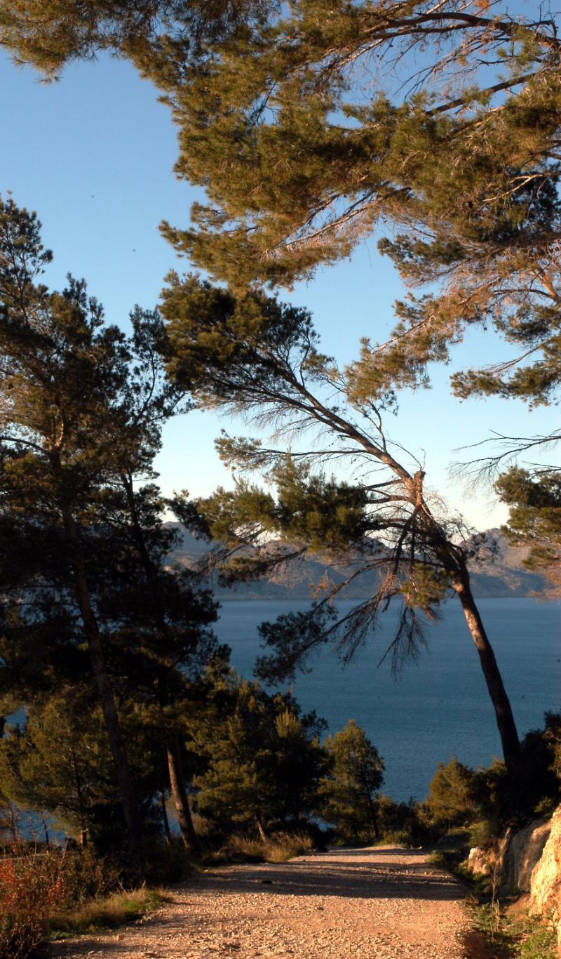 Petit Hotel Hostatgeria La Victoria Alcudia  Dış mekan fotoğraf
